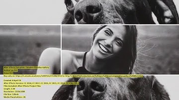 Timeless Parallax Gallery | After Effects Template | VideoHive 23593457