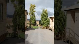 Millicent Hillview Caravan Park - Millicent - Australia