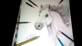 Como Dibujar Un Caballo Realista A Lápiz
