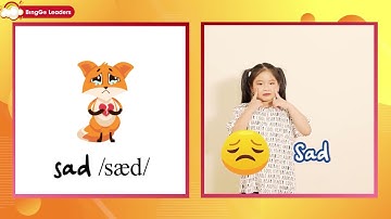 Bộ từ vựng miêu tả cảm xúc cơ bản | Học tiếng anh thông qua hình ảnh (Siêu hiệu quả)