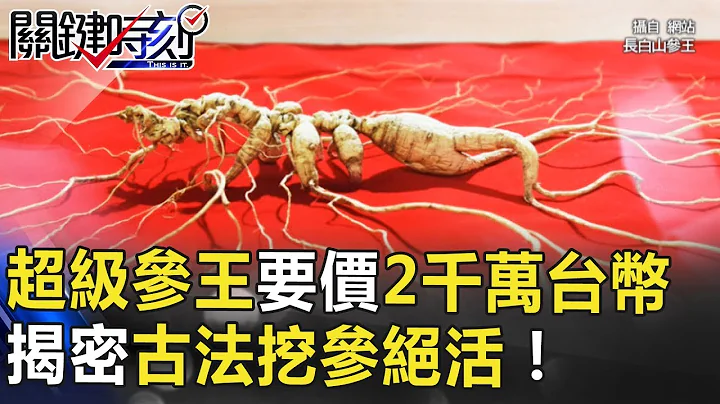 人参也选美？超级「参王」要价2千多万台币 揭密古法「挖参」绝活！ 关键时刻 20180629-3 刘灿荣 - 天天要闻