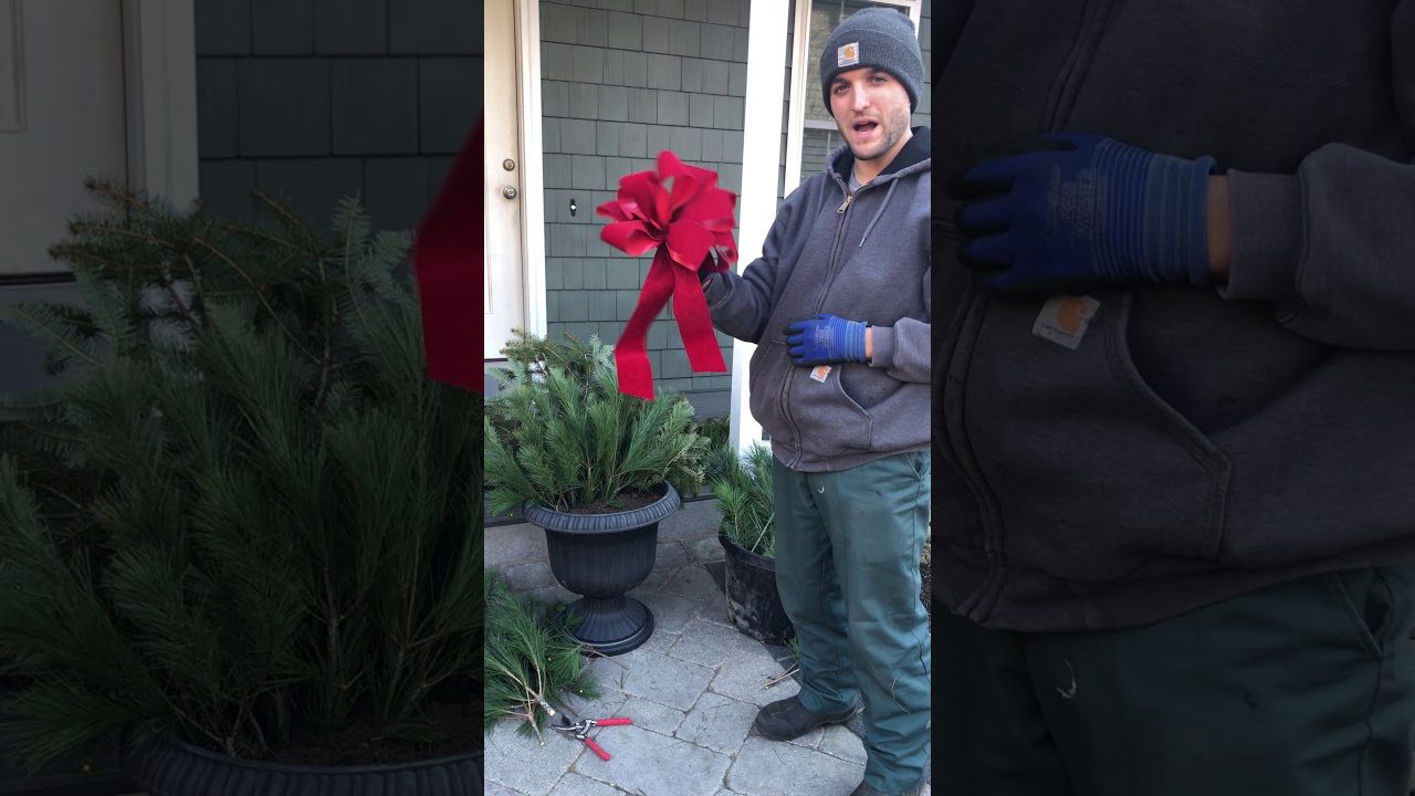 Creating a Holiday Planter