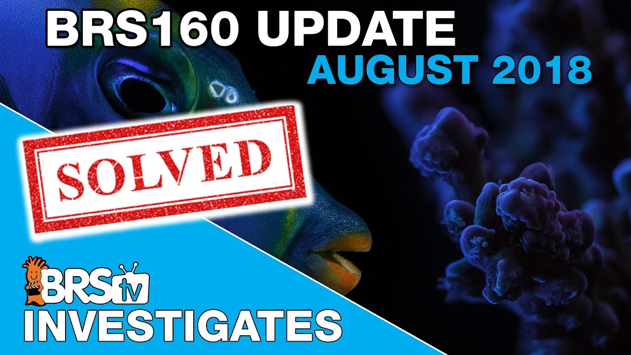brs160 update august 2018 successes issues and auto water changes
