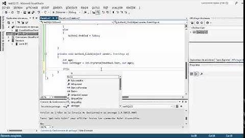 C#   INSERT data to SQL Server Compact 4