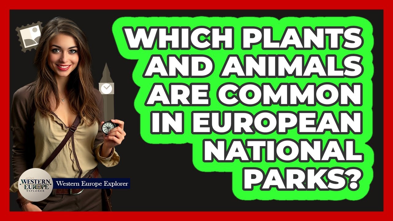Which Plants And Animals Are Common In European National Parks? - Western Europe Explorer