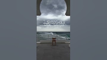 ومن يتق الله يجعل له مخرجا|🎧💫 #quran #القرآن_الكريم #سورةالطلاق