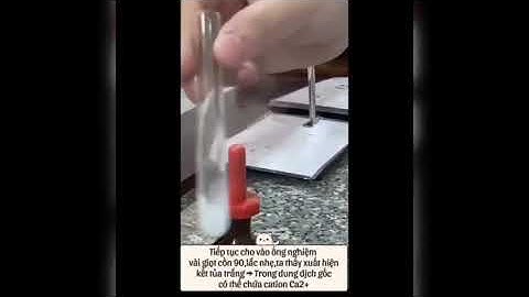 Xác định cation từ nhóm I đến nhóm IV - CD.Dược K25A - Tổ 1 - Ngày làm TN : 21/11/2025