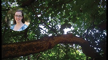 Urban Nature-based Solutions to Climate Change