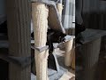 ねこ好みな足 #猫 #cat