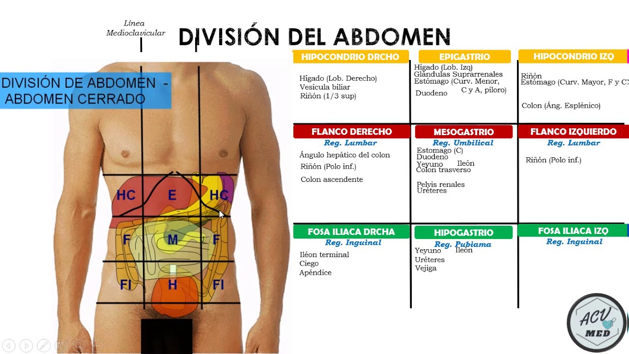 Dolor constante en el abdomen