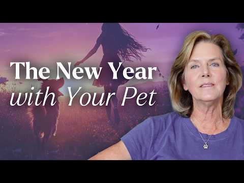 Your Pet Will