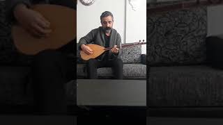 Şako ye şaxi (rojencorona)