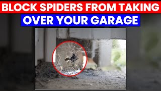 How to Block Spiders From Taking Over Your Garage Proven Tips and Effective Strategies