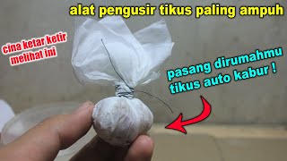 CARA MENGUSIR TIKUS DARI RUMAH DENGAN ALAT SEDERHANA ! screenshot 3
