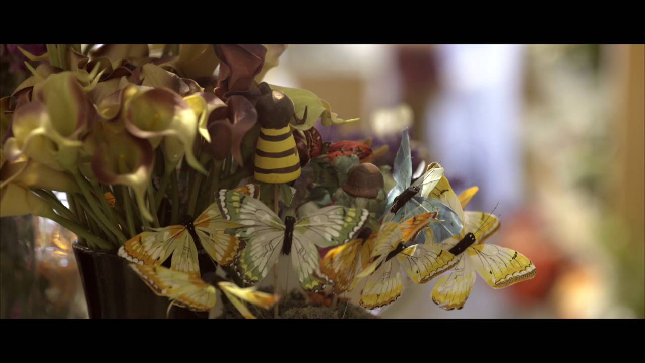 Central Malta florist and pet store YouTube