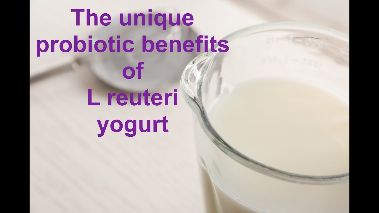 Health Enhancer L.Reuteri Yoghurt - Wellness By Rosh