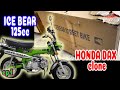 Honda dax  ice bear clone 125cc unboxing setup instructions icebear champion amigo diax ct70 trail