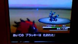 Pokemon Black And White Wifi Battle Random Wifi Battle Battle