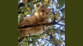 Ive Got A Life Ahead Of Me