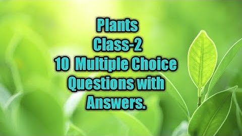 Plants Around Us Class -2||Questions and Answers||Evs|| EVs worksheets
