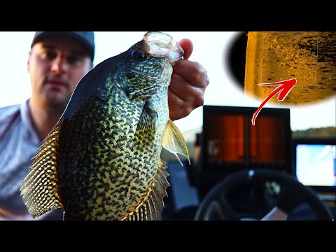 How to use Side Imaging to find Crappie in the Fall