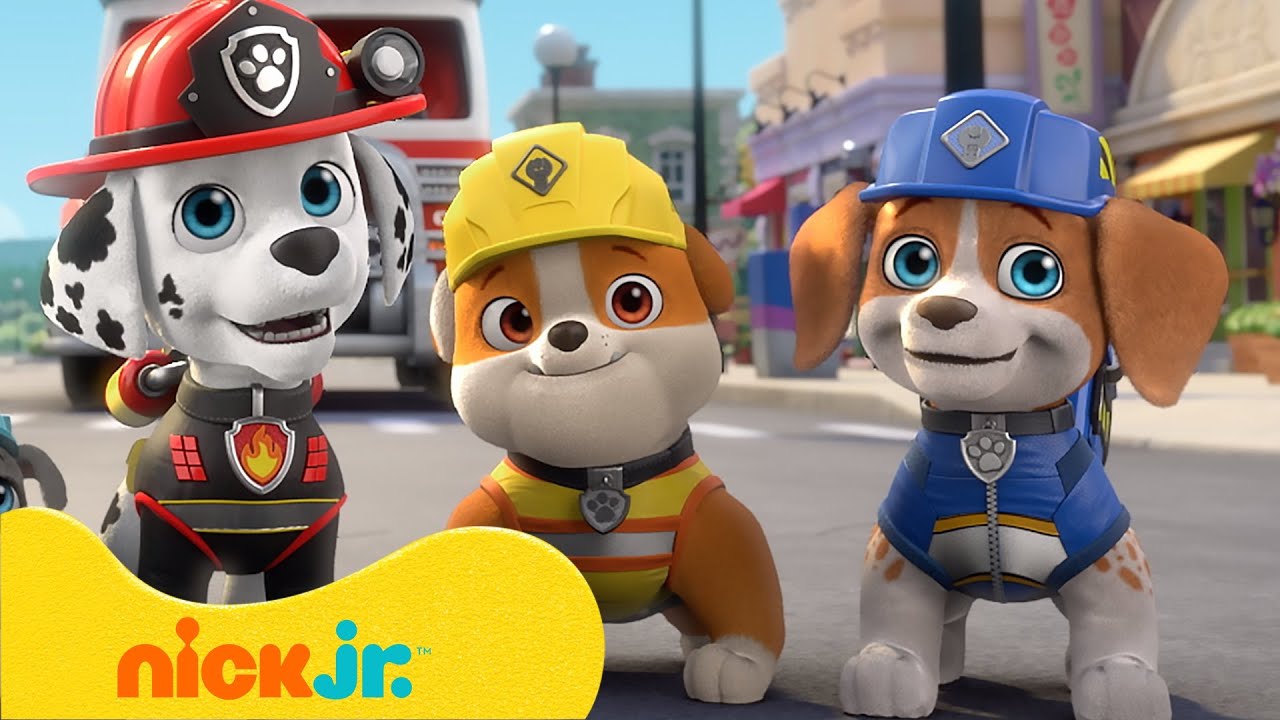 PAW Patrol | PAW Patrol Babyrettungen! | Nick Jr. Deutschland