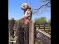 هل سمعتم من قبل صوت طائر البوتو