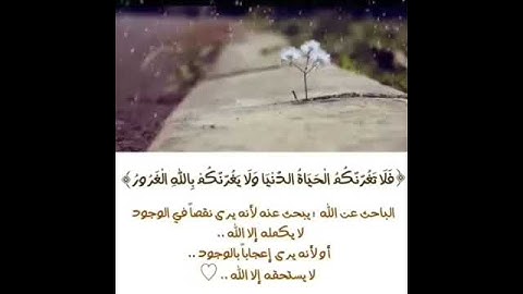 القارئ اليمني محمد صالح تلاوه مميزه