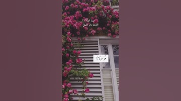 سورة التوبة القارئ ماهر المعيقلي🤍#القرآن_الكريم#ماهر_المعيقلي#سورة_التوبة