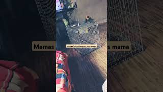 #free fly if sees mama#😘😘