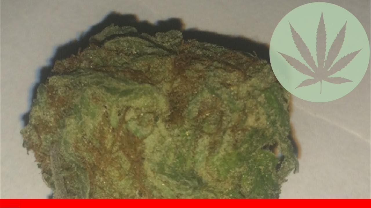 Cherry Sherbet - All About This Strain