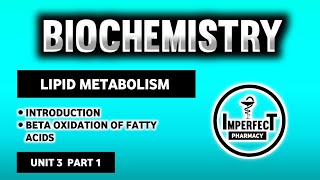 Beta Oxidation Of Fatty Acids | Lipid Metabolism | Biochemistry | B Pharma 2nd Semester