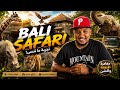 سفاري بالي تجربة وسط الحيوانات ما تنسى Bali Safari Adventure mp3