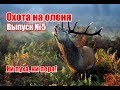 Охота на оленя | Выпуск №5 (RUS)