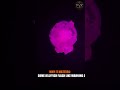 Earth's Strangest Hidden Science #shorts