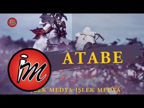 Arapça Atebe 2022 -  enek alene