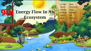 Science Chapter-7 Energy Flow In An Ecosystem Part-1