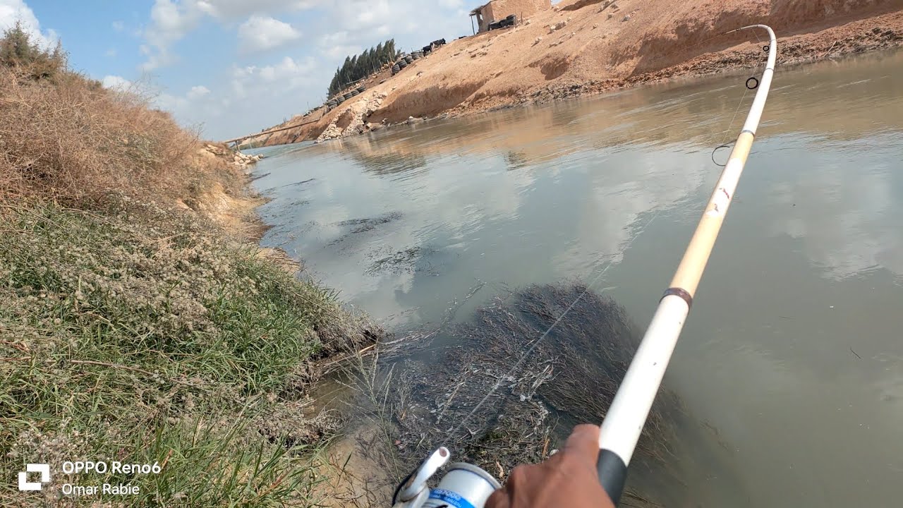 اقوى فيديو مع بدايه موسم الريمه في ميه التنميه ب برج العرب