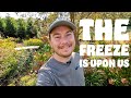 The Freeze Is Upon Us | VLOG | The Southerner&#39;s Northern Garden