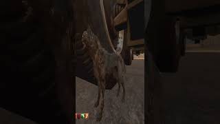 ESTE EASTER EGG TARDÓ 5 AÑOS EN DESCUBRIRSE "EL PERRO ESPACIAL DE MOON" | COD ZOMBIES