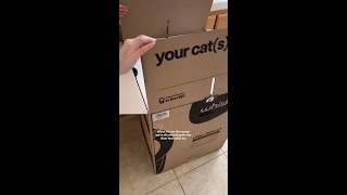 New Year Refresh with the Litter-Robot