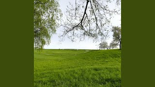 001 When Spring Comes Softly