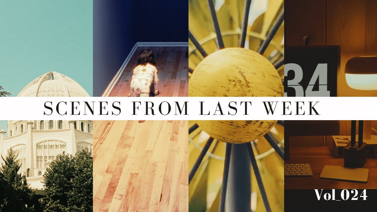 Scenes From Last Week | Vol_024 - YouTube