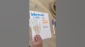 Interossei Muscles Study Trick!