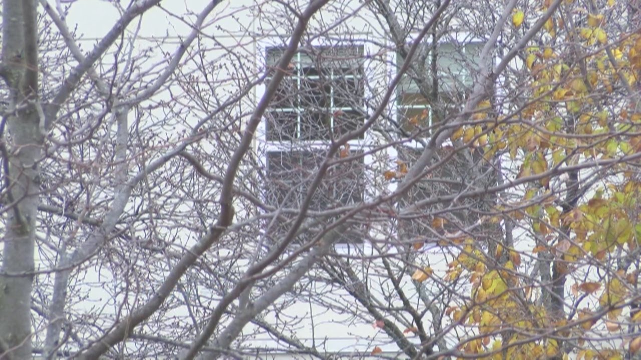 LTHC and Food Finders: 'the last twelve months have been difficult'