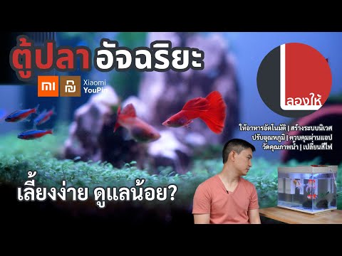 ลองให้ | ตู้ปลาอัจฉริยะ Xiaomi สร้างระบบนิเวศ ไม่ต้องดูแลเยอะ เลี้ยงง่ายขึ้นแค่ไหน?