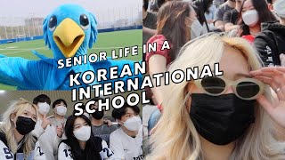 last few days of being a senior | student life in korea | korean international school | 국제학교