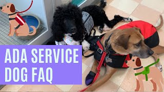 Answering Frequently Asked Questions About Service Dogs (The ADA)! Americans with Disabilities Act