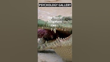 The AMAZING TRUTH about the fear of Alligators!!! 👀#shorts #shortsvideo #motivation #psychology
