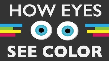 How Do Your Eyes See Color?